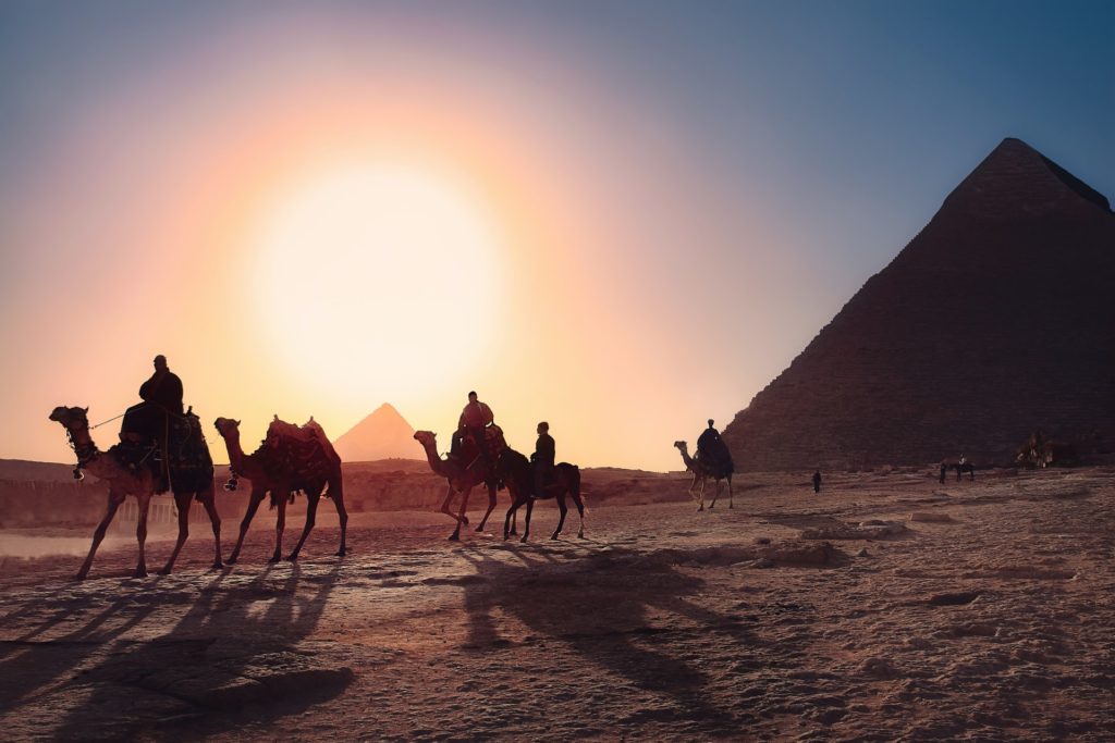 Visit In Egypt