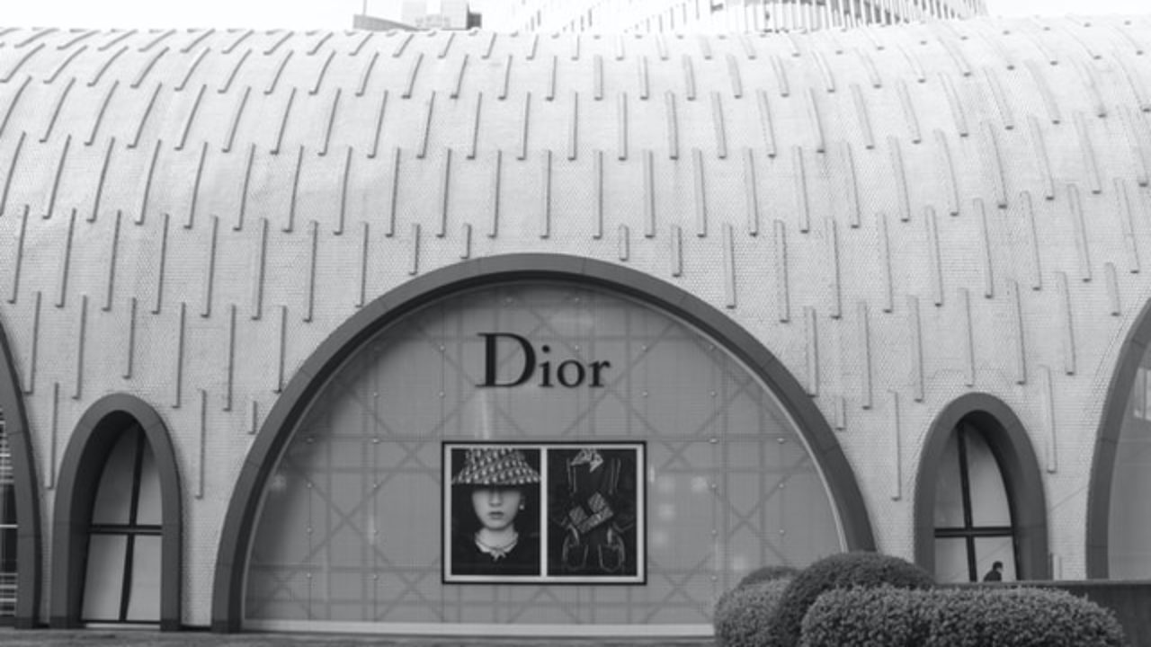 dior subsidiaries